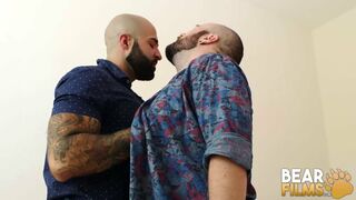 Bear Hairy Atlas Grant Barebacks Fat Bear Dax Librastic