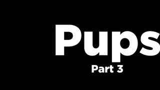 Pups Part 3 - Trailer preview - Bro