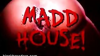 Welcome to the Maddhouse