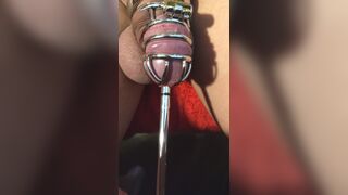 sissy sounds herself in a shiny metal cock cage