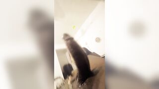 African Long Dick Student Cum for His Roommate