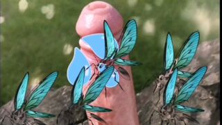 Dick attracts flying insects