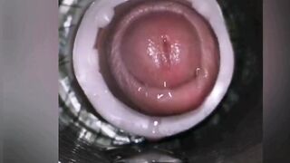 Precum compilation